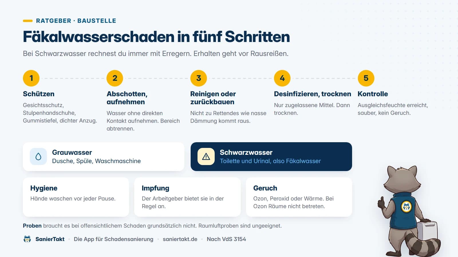 Der Fäkalwasserschaden in fünf Schritten. Schützen, abschotten und aufnehmen, reinigen oder zurückbauen, desinfizieren und trocknen, Erfolgskontrolle. Darüber der Unterschied zwischen Grauwasser und Schwarzwasser.
